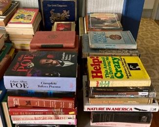 Lots of books! Hardbacks, paperbacks, fiction, non-fiction, biographies, cookbooks, reference books, and more!