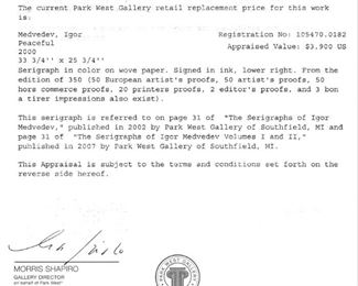 Medvedev Peaceful appraisal