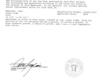 Medvedev Sunny Side appraisal