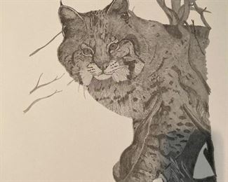 Corey Sly signed and numbered