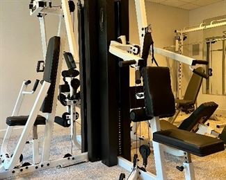 Item 150:  Batca Multi-Functional Trainer: $2200 (should be dismantled and set up in your home by a professional).