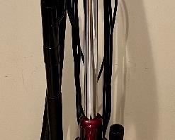 Item 210:  Shark Stick Vacuum: $75