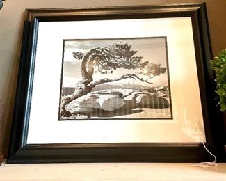 $60 Framed Photography - 23.5 x 19.5