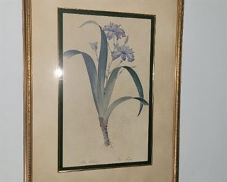 Vintage Botanicals Framed
