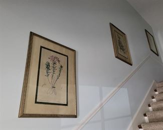 Vintage Botanicals Framed