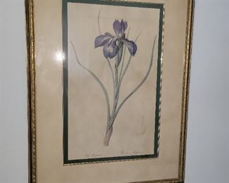 Vintage Botanicals Framed