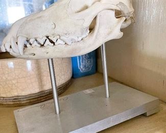 Great conversation piece