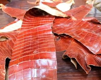 Ralph Lauren Tagged Alligator Pelts