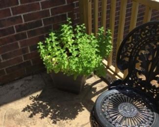 Moved pot to just outside of garage