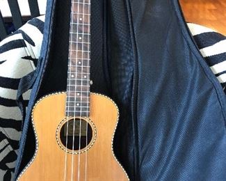 Ukelele in case