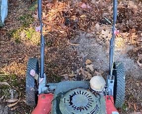 Assorted Push Mowers