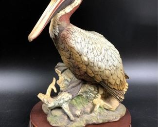 Brown Pelican by Andrea #9520