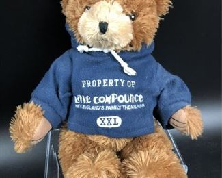 Lake Compounce Teddy Bear