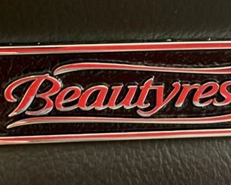 Beautyrest Platinum Sofil Bonded Leather Executive Chair, Black	44.5 x 28.5 x 28in	HxWxD
