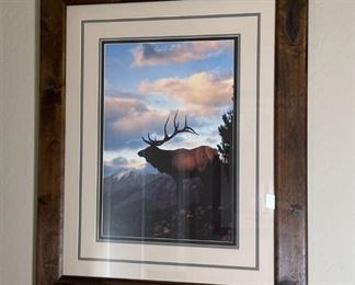 Framed Art Elk in the Woods	Frame: 33.5 x 27in	
