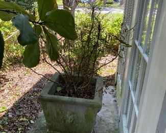 We do not load furniture. Please bring help to load your purchases.