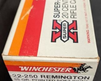 Winchester 22-250 Remington 55 GR. Pointed Soft Point