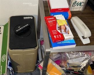 Sentry Survivor Safe