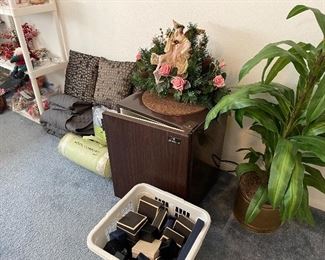 Mini Refrigerator, Silk Plant, Jewelry Boxes  