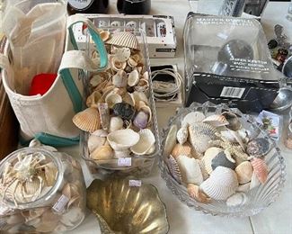 Accessories & seashells 