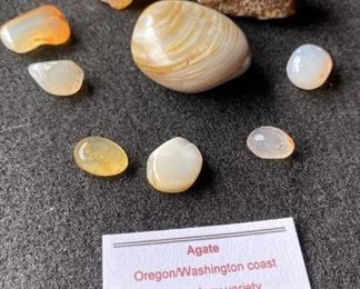 Agate Chalcedony Variety from OregonWashington Coast