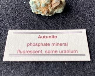 Autunite Phosphate Mineral Fluorescent Some Uranium
