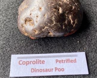 Coprolite Petrified Dinosaur Poo