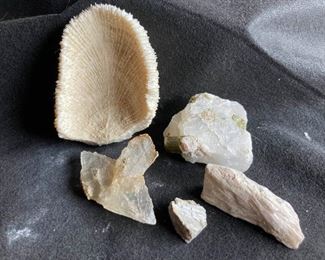 Mushroom Coral Quartz and Assorted Crystals