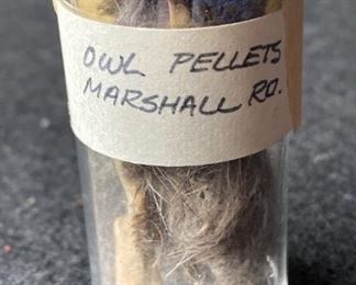 Owl Pellets Marshall Ro