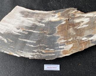 Petrified Wood From Vantage Wa