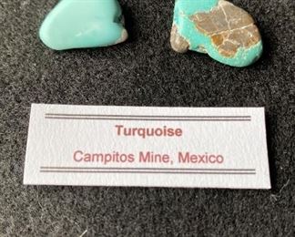 Turquoise from Campitos Mine Mexico