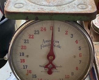 American Family Scale