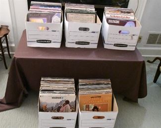 LARGE Vinyl Collection