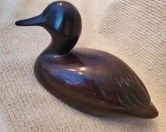 Ironwood Duck