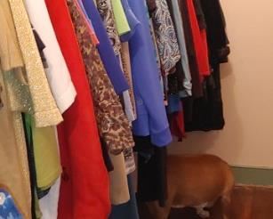 Precious photo bombed 