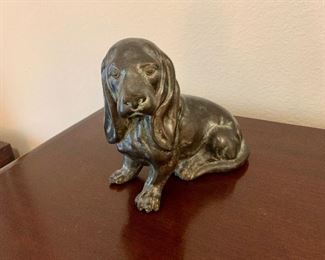 This lil pup needs to go home with you 