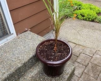pots for sale during in person shopping