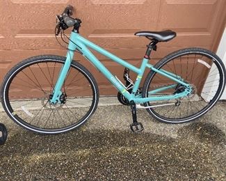 $380  Coop/Shadow CTY1.1