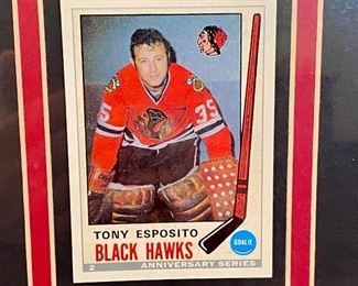 Tony Esposito-Goalie