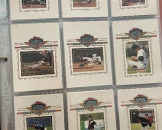 Sports Card Collection