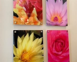 BIN$30 each. Acrylic Mounted Photographs, 18" x 24"