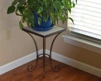 Live Plant and Plant Stand