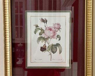 "Double Rose" Botanical Print