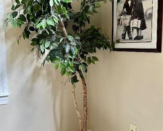 Faux Ficus Tree