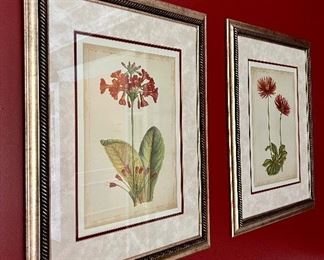 Framed Botanicals