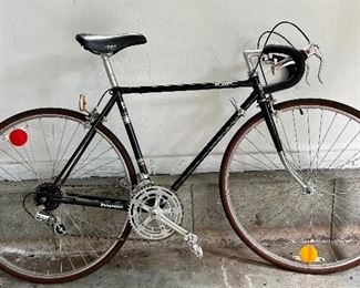 Panasonic Bicycle Model No. DX2000