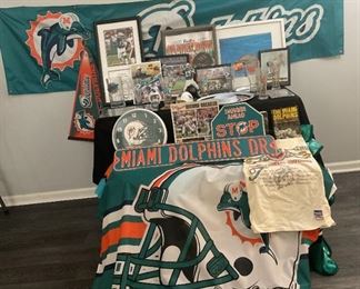 Miami Dolphins Fans Dream