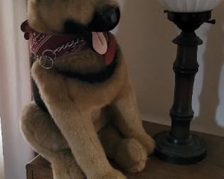 Large German Shepherd Stuffie
