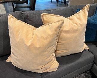 Pottery Barn Down Pillows (Cream)
