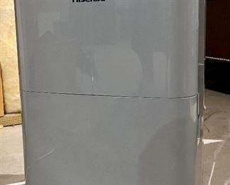 Hisense Dehumidifier 